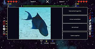 I've Seen Everything - More Fishes