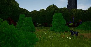 Eshe's Wish Adventure