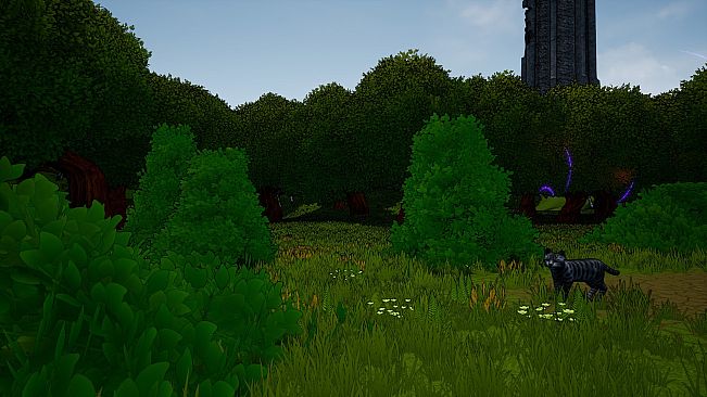 Eshe's Wish Adventure