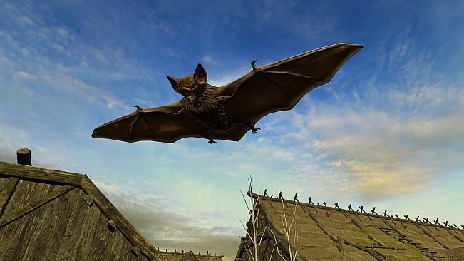 Animals for Clip maker