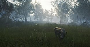 theHunter: Call of the Wild - Te Awaroa National Park