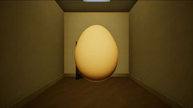 TAMAGORUDO - FLOOR O