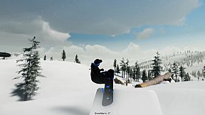 SNWBRD: Freestyle Snowboarding