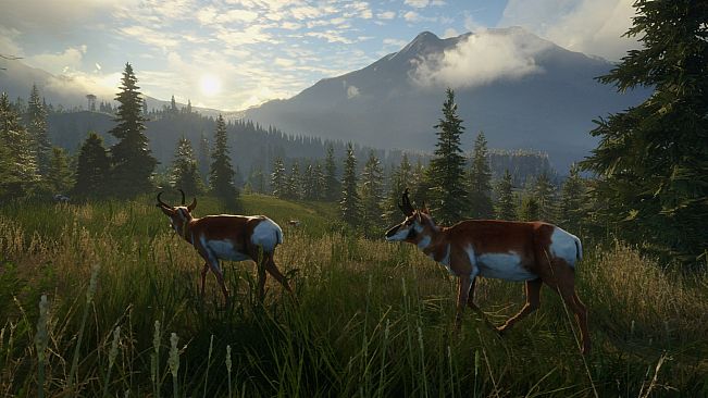 theHunter: Call of the Wild - Silver Ridge Peaks - Windows 10