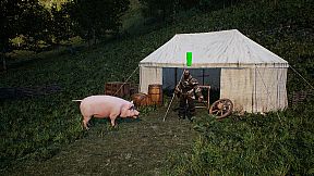 Medieval Pig
