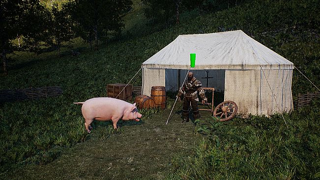 Medieval Pig