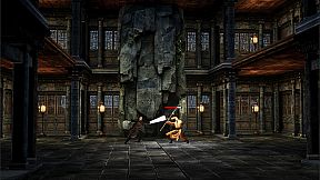 the Shadow of Swallow