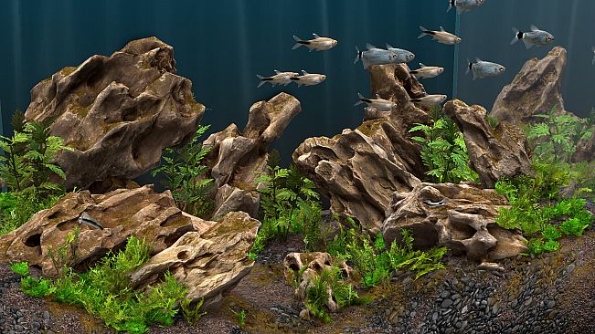 Behind Glass: Aquarium Simulator - Decoration Pack