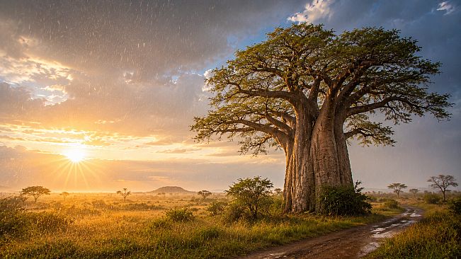 Puzzles Trees