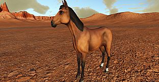 Wild West Canyon