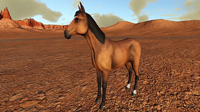 Wild West Canyon