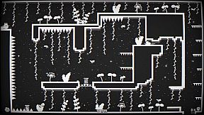 Cats Catching Mice: The Black and White World