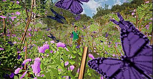 The Fox, The Forest & The Darkness