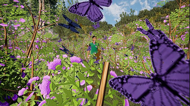 The Fox, The Forest & The Darkness