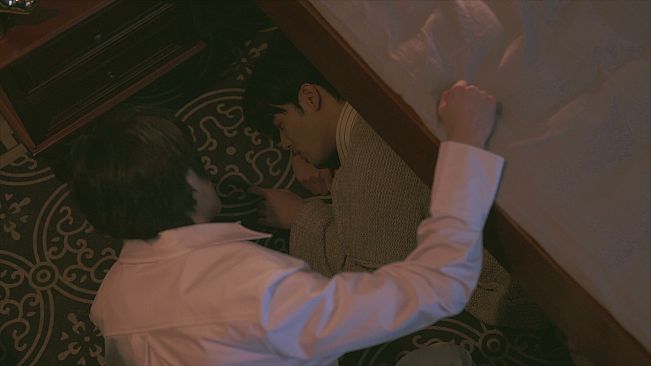 Tree's Love Crossing Above