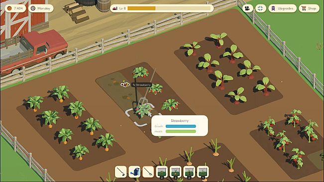 Farm to Fortune