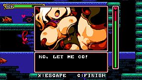 Castle in The Clouds DX