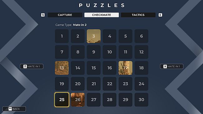 Chess Infinity: Mate in 2 Puzzle Pack