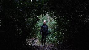 The Ultimate FMV Bundle 2