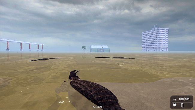 Florida Simulator 1986