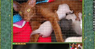 Jigsaw Puzzle Pack - Pixel Puzzles Ultimate: Cats 2