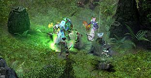 Pillars of Eternity - Deadfire Pack