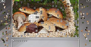 Super Jigsaw Puzzle: Generations - Mushrooms