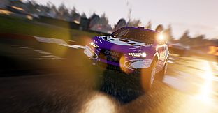 Gravel Free car Ford HRX