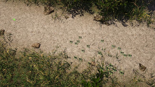 Empire of the Insects