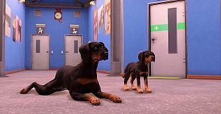 Animal Shelter 2 - Hunting Dogs Pack