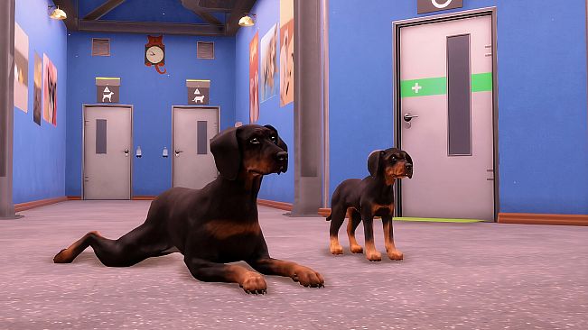 Animal Shelter 2 - Hunting Dogs Pack