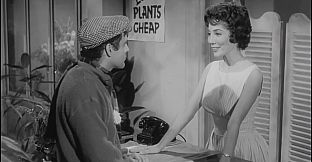 ROUGH KUTS: The Little Shop of Horrors