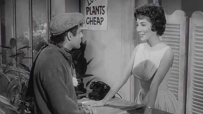 ROUGH KUTS: The Little Shop of Horrors