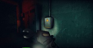 Entities Detected