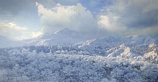 theHunter: Call of the Wild - Medved-Taiga