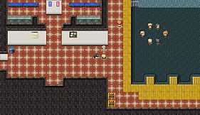 The Color of the Roses