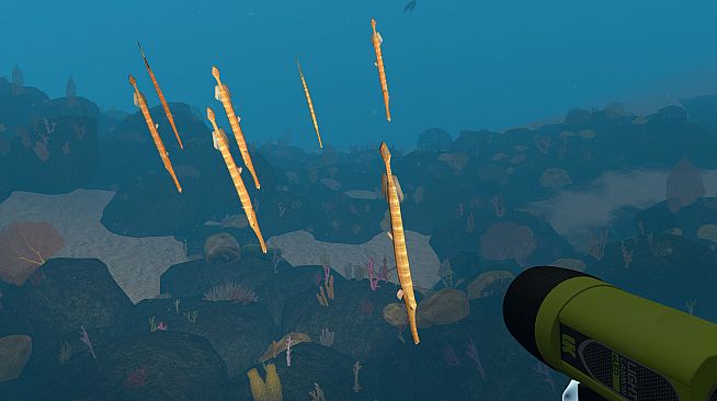 Dive with Sylvia VR