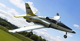 RealFlight Evolution - 2024 Year Content Pass