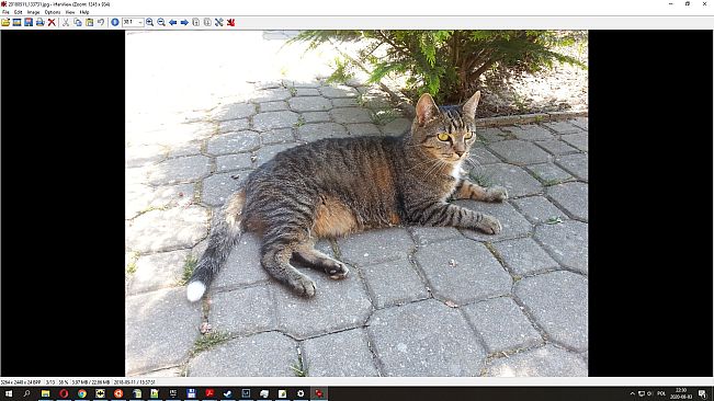 The USB Stick Found in the Grass