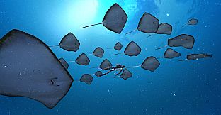 ImmersiX - Sharkarma