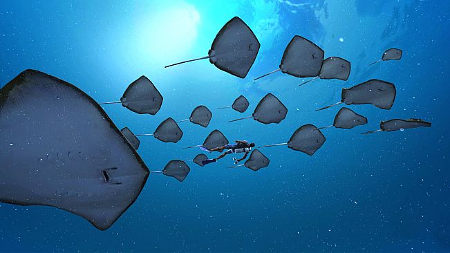 ImmersiX - Sharkarma