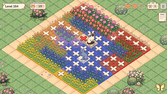 Purr in Bloom