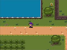 Ultimate Chicken Fighter