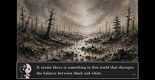 Black & White in Balance