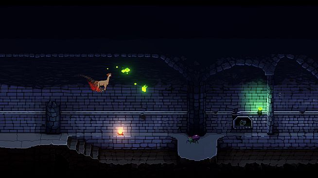 Llama the Farm Drama