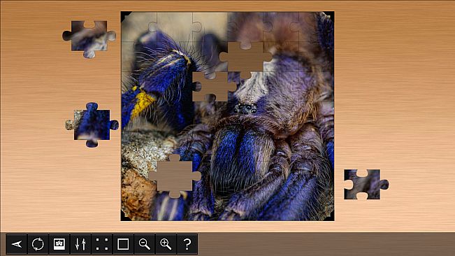 Jigsaw Puzzle World - Arachnids