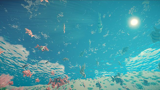 My Little Ocean