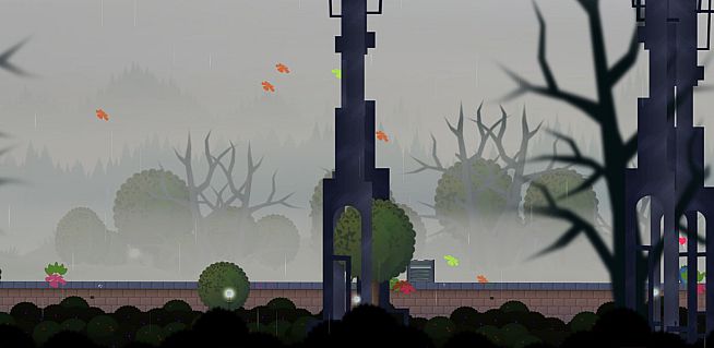 Foggy Rainfall Escapade