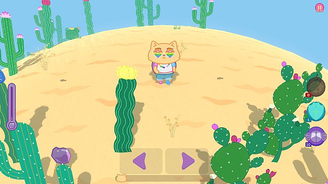 Kiwie vs Desert - Cute Pack