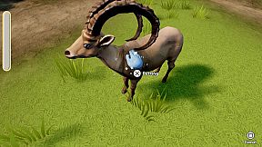 Sophia’s Animal Clinic - Mission Wildlife Park